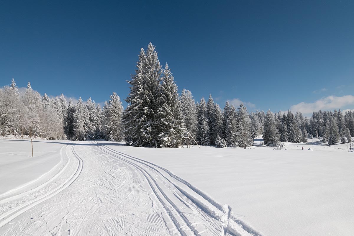 Martinskapelle Flutlichtloipe (Nachtloipe)