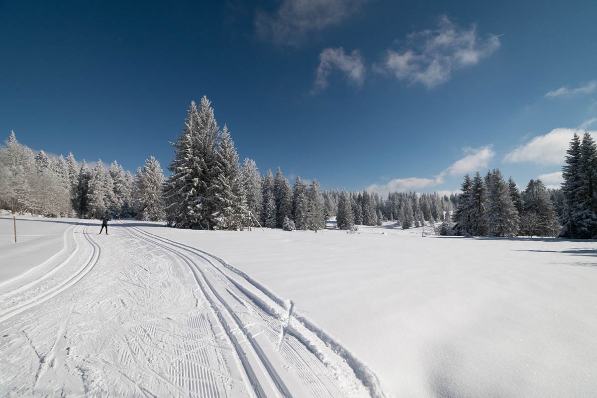 Frisch gespurte Skiloipe Martinskapelle im Schwarzwald mit Winterlandschaft und Nadelwäldern