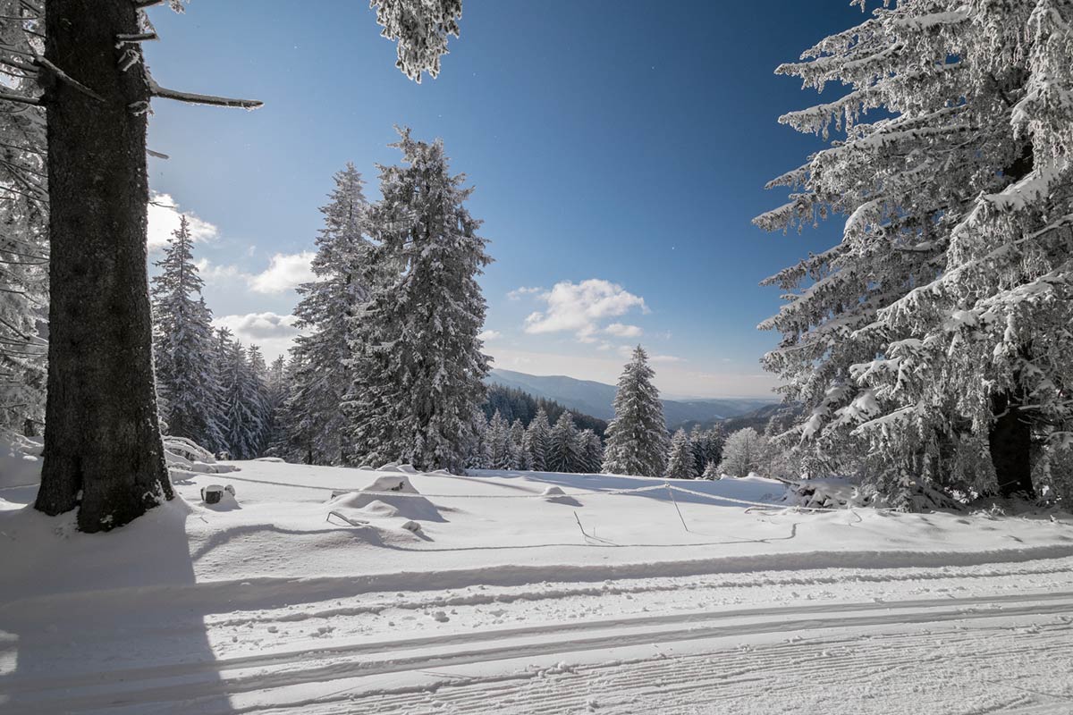 Wunderbarer weiter Blick über den verschneiten Schwarzwald von der Rosseckstrecke der der Skiloipen Martinskapelle aus