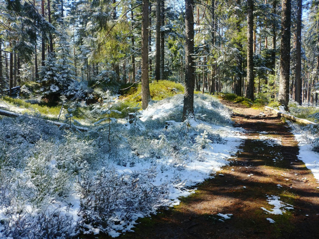 Nordic Walking Zauberwald Unterkirnach bei Villingen