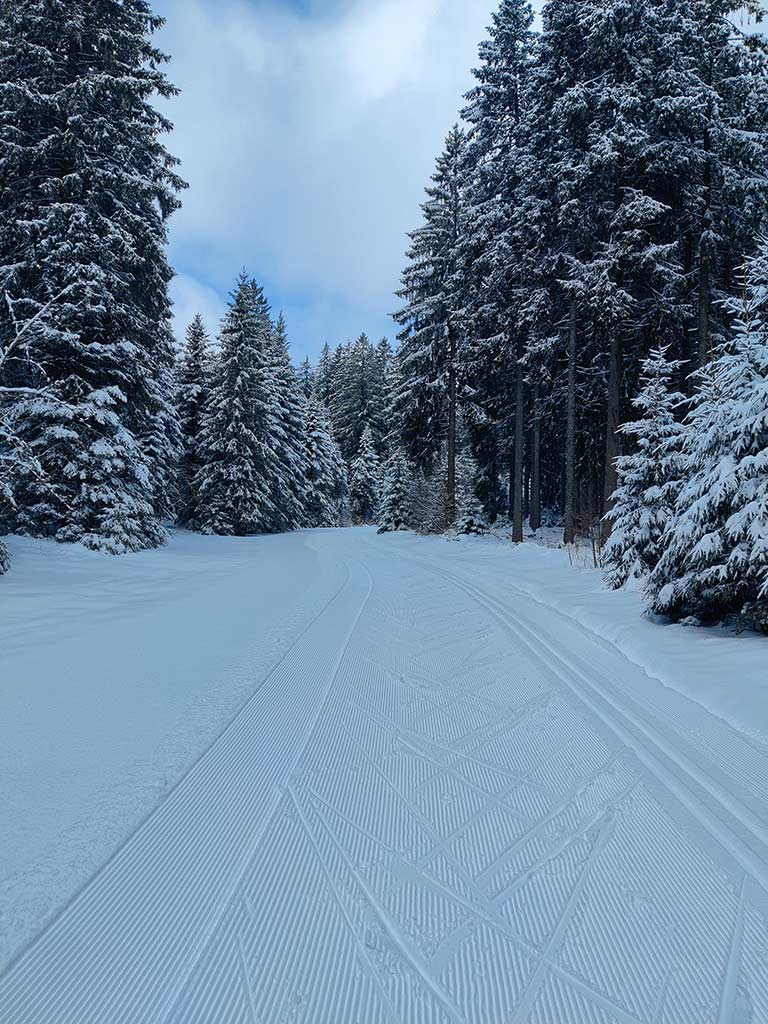 Loipe Rothaus Loipenzentrum
