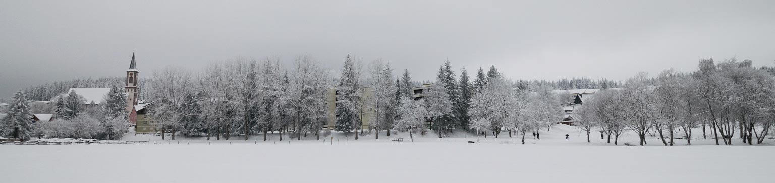 Schönwald im Winter: Loipe im Landschaftsgarten