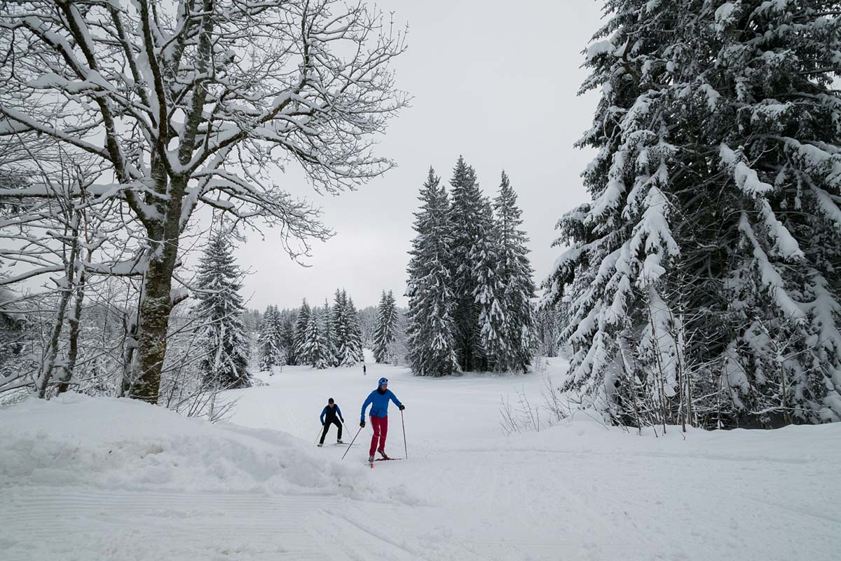 Skiloipe Martinskapelle Panoramaloipe